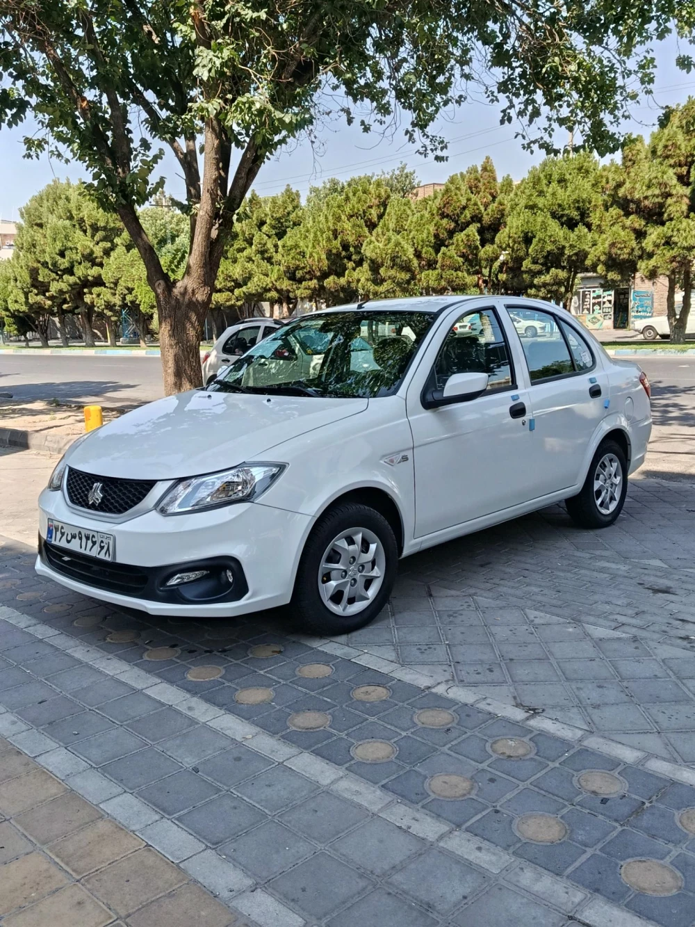 ساینا اس تکسوز